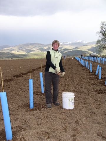 Jane in vineyard, April 2006