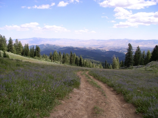 Eagle Valley from the Mountains