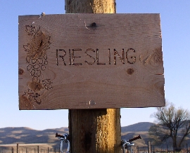 Riesling