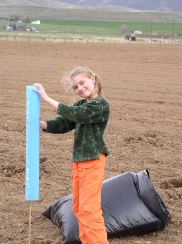 Sarah in vineyard, April 2006