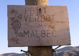 Petit Verdot