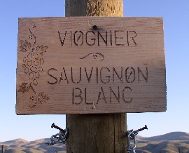 Viognier